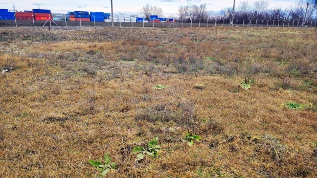 Dunaharasztin ipari hasznos�t�s� telek elad� 1412_mj