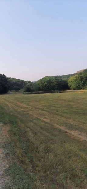 Dunakanyar erdő, birtok