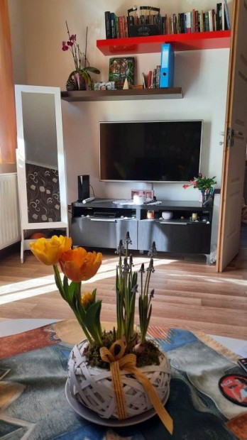 Dunakeszi, Fti t, 37 m2-es, magasfldszinti, trsashzi laks