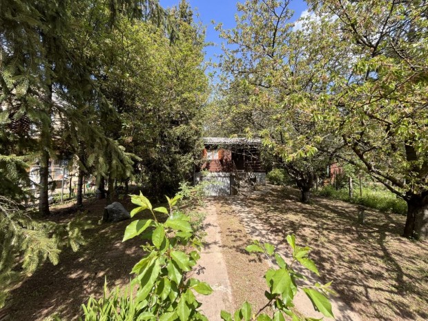Dunakeszi, Szabadságliget, 622 m2-es, telek