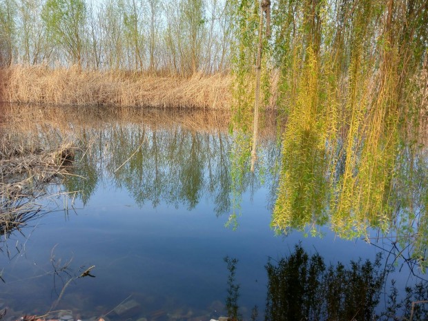 Dunatet�tlenen Soltt�l 4 km.-re v�zparti telek elad�