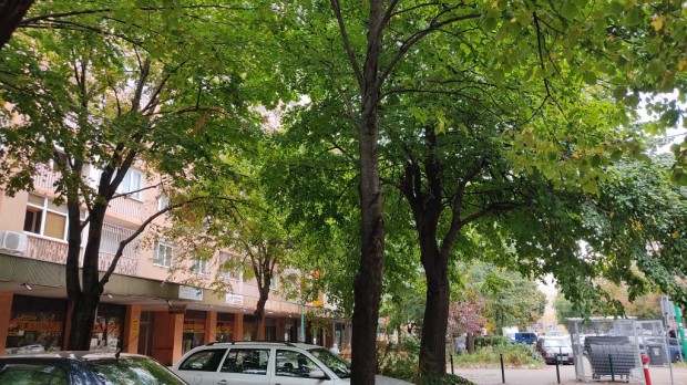 Duna�jv�ros, R�mai k�r�t, 57 m2-es, t�rsash�zi lak�s, 2 szob�s