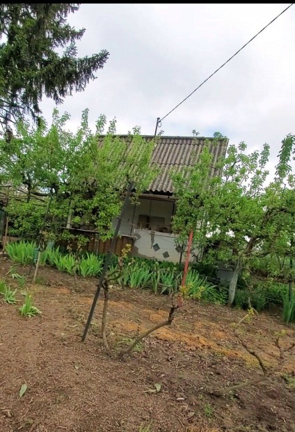 Duna�jv�ros nyaral� elad�