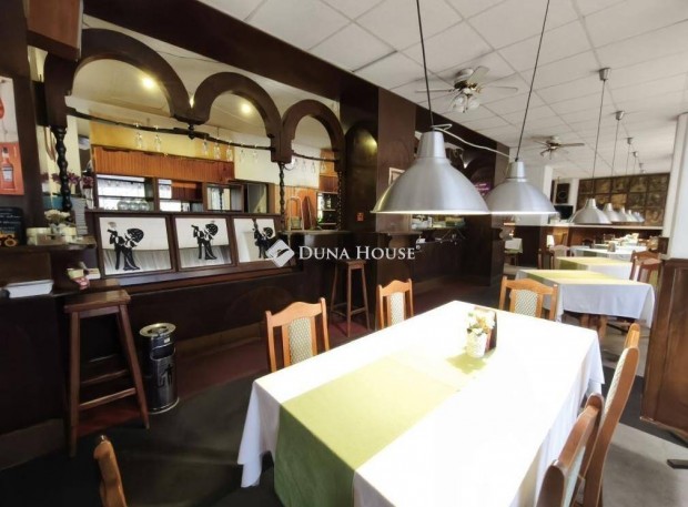 Duna�jv�rosi elad� 225 nm-es �zlethelyis�g #5099823