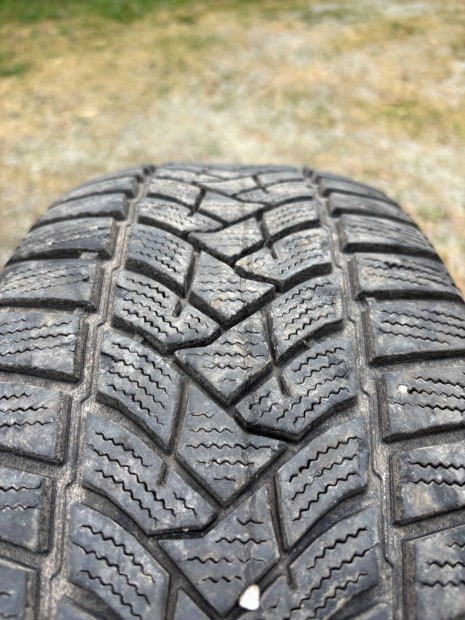 Dunlop tligumi