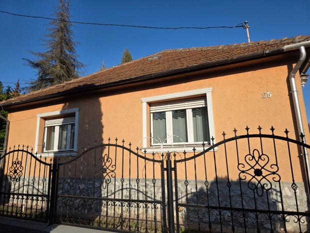 Dupla csal�di h�zas porta Di�sgy�rben