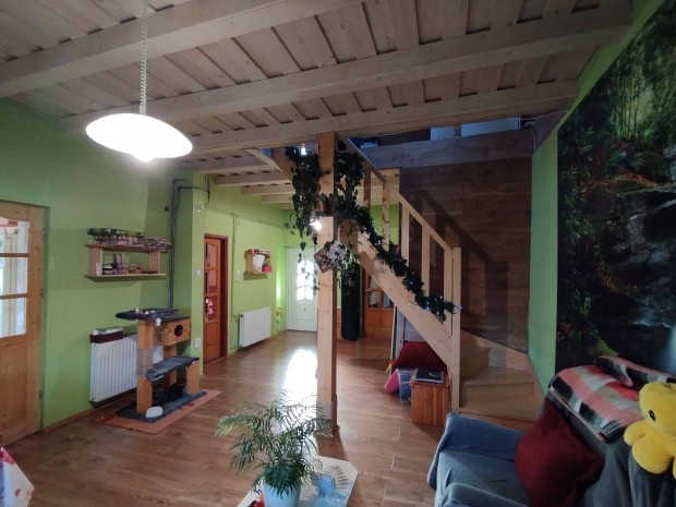 Dupla komfortos csal�di h�z elad�, Hajm�sk�ren