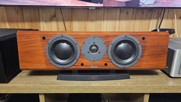 Dynaudio Focus 200 C