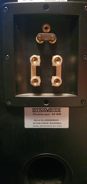 Dynavoice Challenger M65  ll hangfalak eladk.