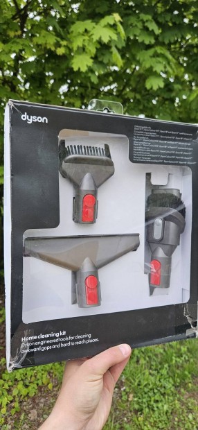 Dyson home kit!