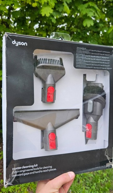 Dyson home kit!