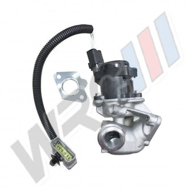 EGR Szelep Ford C-Max,Focus 1229960