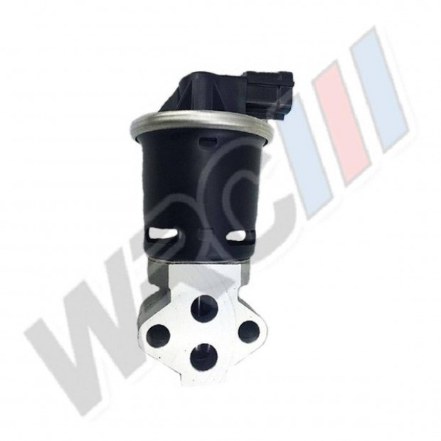 EGR szelep Chevrolet Aveo,Kalos,Matiz,Spark 25182357