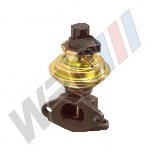 EGR szelep Land Rover Defender Discovery Range Rover II 2.5D 2.5TDI 7