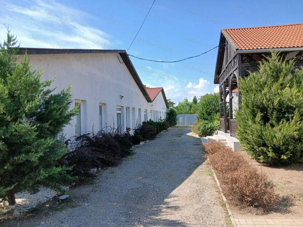 ELAD� 11 SORH�ZI LAK�S T�PI�SZEL�N!