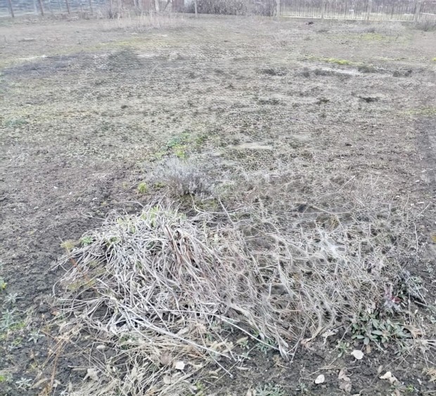 ELAD� �P�T�SI TELEK PUSZTASZABOLCSON SZUPER HELYEN!