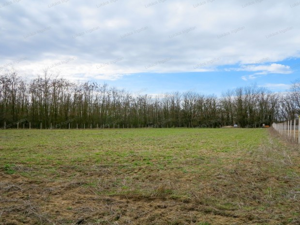 ELAD� ERD�S HOBBITELEK KECSKEM�T SZ�L�N!!