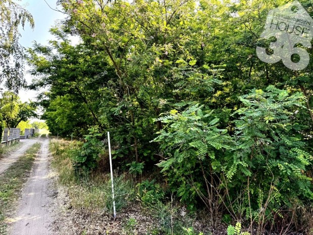 ELAD� F�S�TOTT TER�LET KECSKEM�TEN!!!