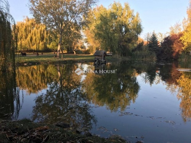 ELAD� HALAST�  TERM�SZETI GY�NGYSZEM B�LY SZ�V�BEN.