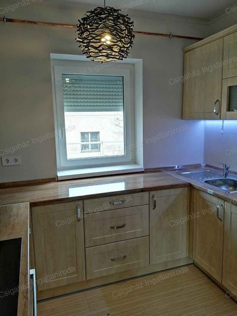 ELAD� LAK�S  NY�REGYH�ZA BELV�ROS  B�TOROZOTT, B�RL�VEL UDVARI