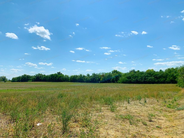 ELAD� LAK�H�Z �P�T�SRE IS ALKALMAS K�LTER�LET!!