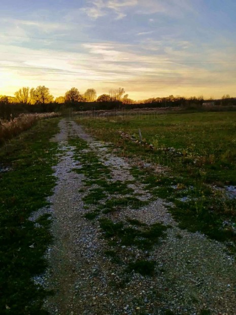 ELAD� Nagykanizsa �szaki r�sz�n, az aut�p�lya k�zel�ben egy