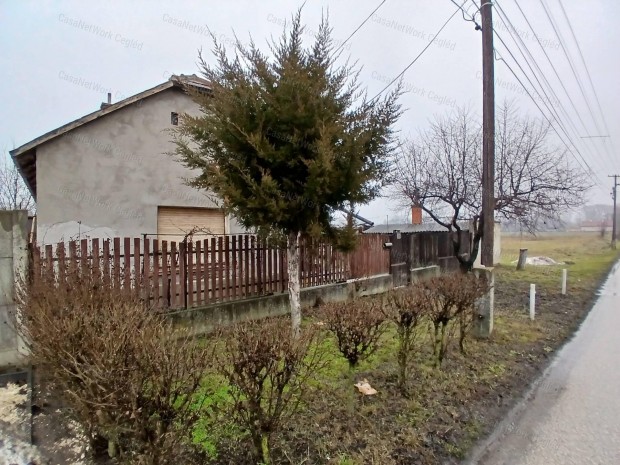 ELAD� Nagyk�r�si Tanya