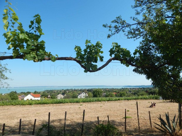 ELAD� �R�KPANOR�M�S Z�RTKERTI H�Z CSOPAKON GONDOZOTT