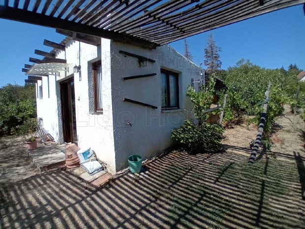 ELAD� R�SZPANOR�M�S GAZDAS�GI �P�LET ALS��RS�N