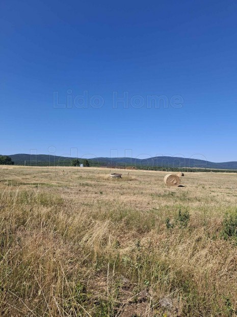 ELAD� TELEPHELY M�RK�N