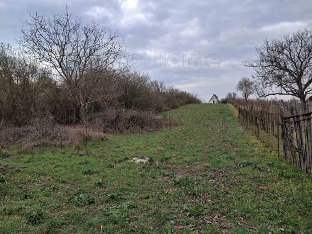 ELAD� Z�RTKERTI TELEK BALATONALM�DI FELETT!