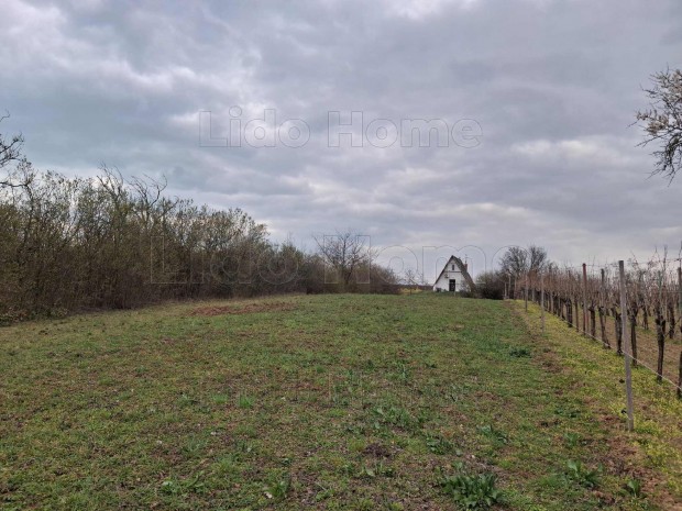 ELAD� Z�RTKERTI TELEK BALATONALM�DI FELETT!