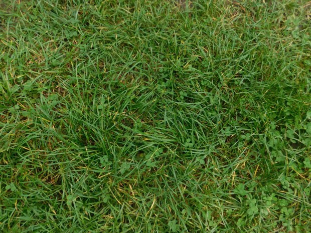 ELAD�! �P�T�SI TELEK �REGLAKON!