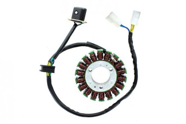 ELECTROSPORT Generátor ESG 368 GV250 Aquila - EFI (09-13)