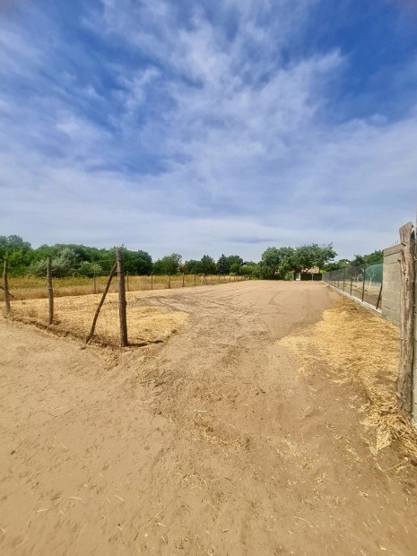 �P�T�SI TELEK DABAS,GY�N V�ROSK�ZPONTBAN ELAD�!