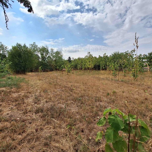 �P�T�SI TELEK ELAD� Mez�kom�rom csendes �vezet�ben, sz�mtalan