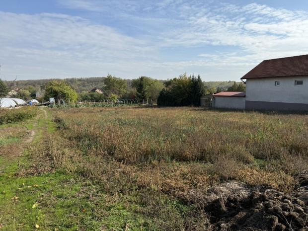 �P�T�SI TELEK ELAD�!