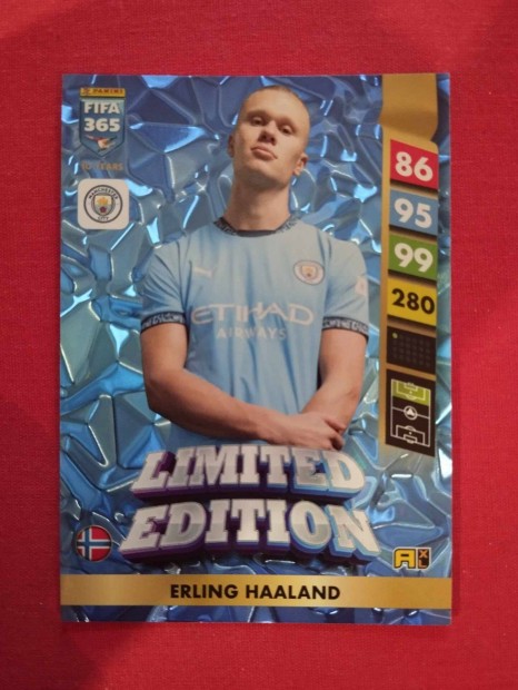 E Haaland (Manchester City) FIFA 365 2025 Limited Edition focis krtya