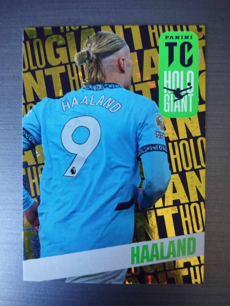 E. Haaland (Manchester City) Holo Giant Top Class 2025 focis krtya