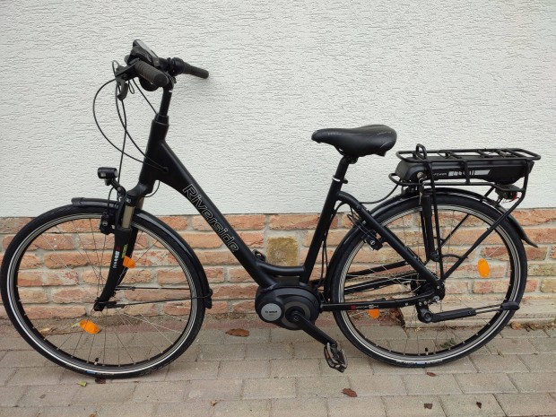 Ebike, Bosch pedelec, e-bike, e bike 450 km-rel