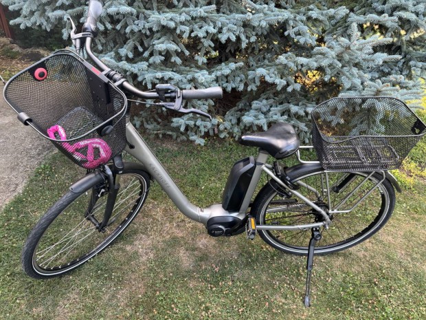 Ebike, elektromos kerékpár