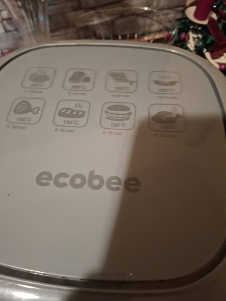 Ecobee st 