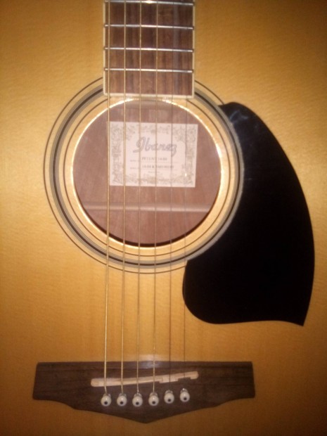 Edition by Ibanez PF 15 NT Acoustics gitr 