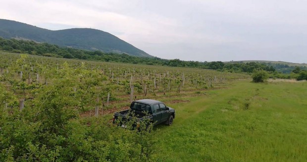 Eger Felstrkny hatrban mezgazdasgi terlet, sznt, 49910 m2