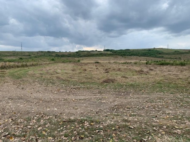 Eger dinamikusan fejl�d� ter�let�n, egyedi lehet�s�get biztos�t�