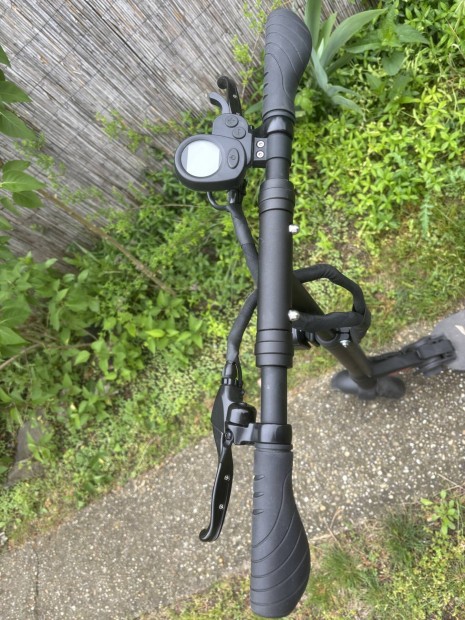 Egret Eight V2 Scooter roller