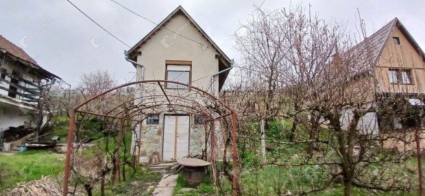 Egy pince, ahol a csendnek �rt�ke van  �s a lehet�s�geknek tere!