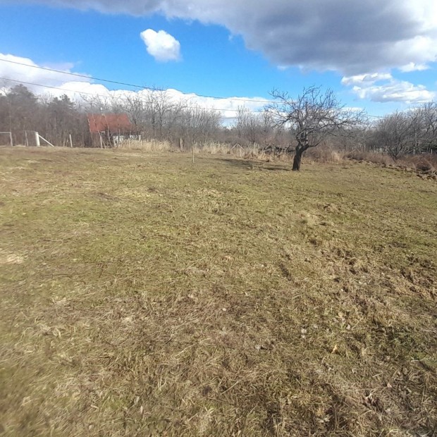 Egyedi ingatlan! Sukor�i �r�kpanor�m�s telek!