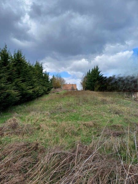 Egyed�l�ll� lehet�s�g egy remek adotts�gokkal rendelkez� belte...