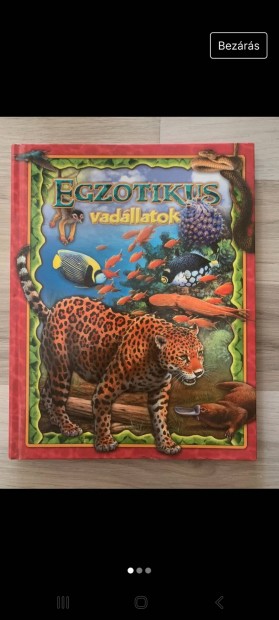 Egzotikus Vadllatok. 